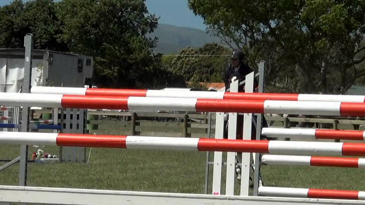 SHOWTYM VIKING: 149cm pony jumping Super League (1.40m-1.60m)!