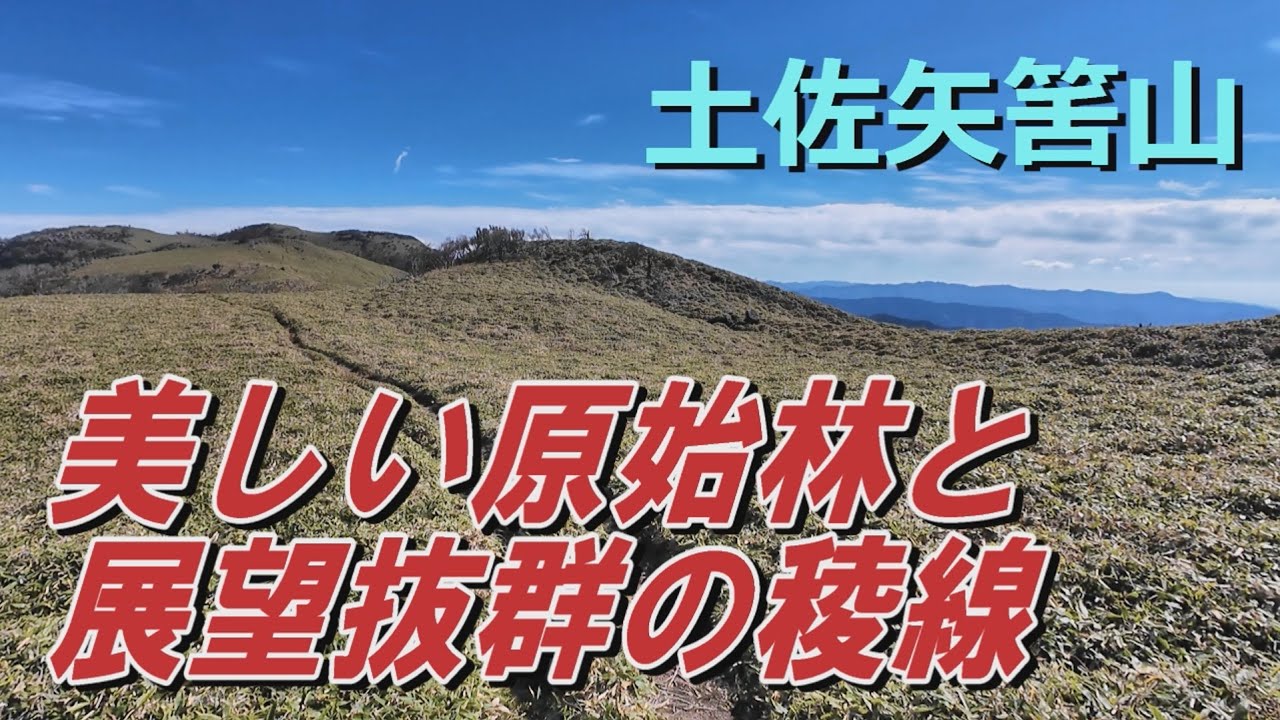 土佐矢筈山～美しい原始林と展望抜群の稜線