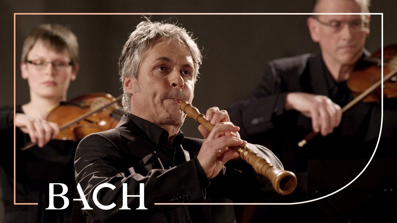 Bach - Sinfonia from Cantata BWV 156 - Mortensen | Netherlands Bach Society