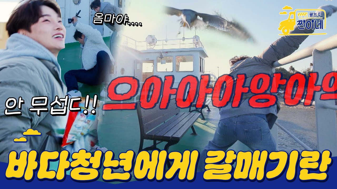 [하이라이트] 바다에서 나고 자란 박서진이는 갈매기를 무서워 할까? #웰컴투찐이네