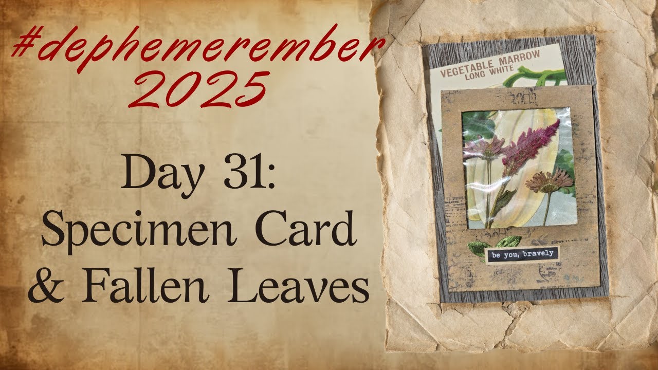 Final #dephemerember 🍂Specimen Cards & Fallen Leaves
