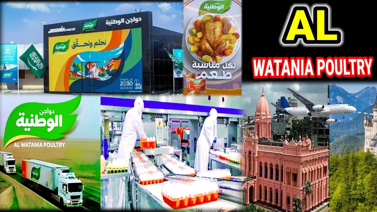 Al Watania Poultry॥al watania poultry farm॥ al watania poultry farm Saudi Arabia !!!