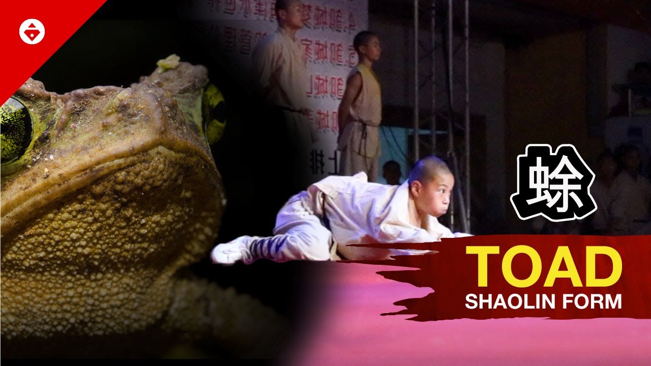 Shaolin TOAD Form by WARRIOR Monk | BEST KUNG FU