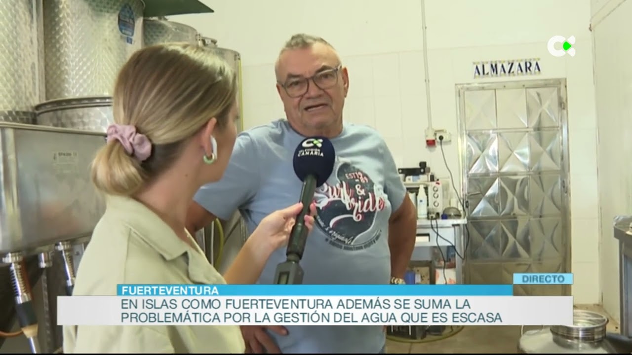 Aceite de oliva de producción propia