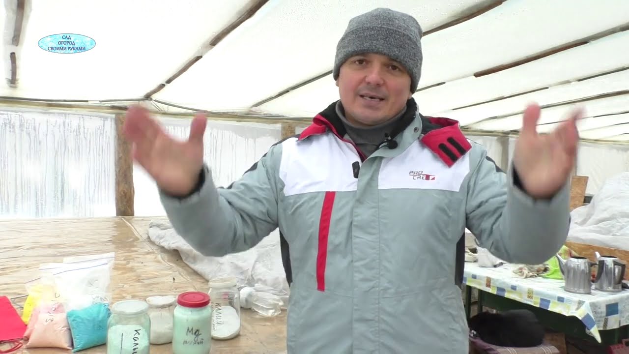 Не знаешь чем подкормить растения? Посмотри это видео!