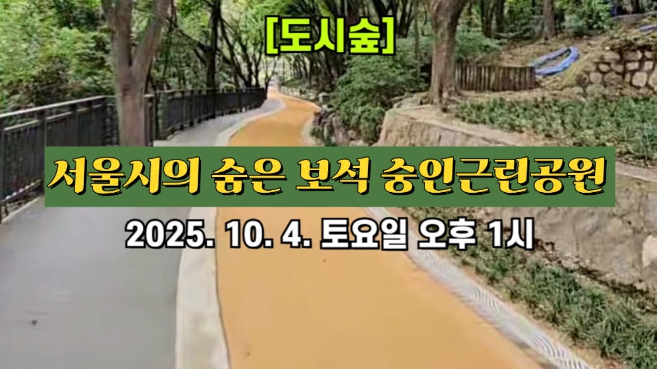 [도시숲] 서울시의 숨은 보석 숭인근린공원 🌳 2025. 10. 4. 토요일 오후 1시 촬영 📽 