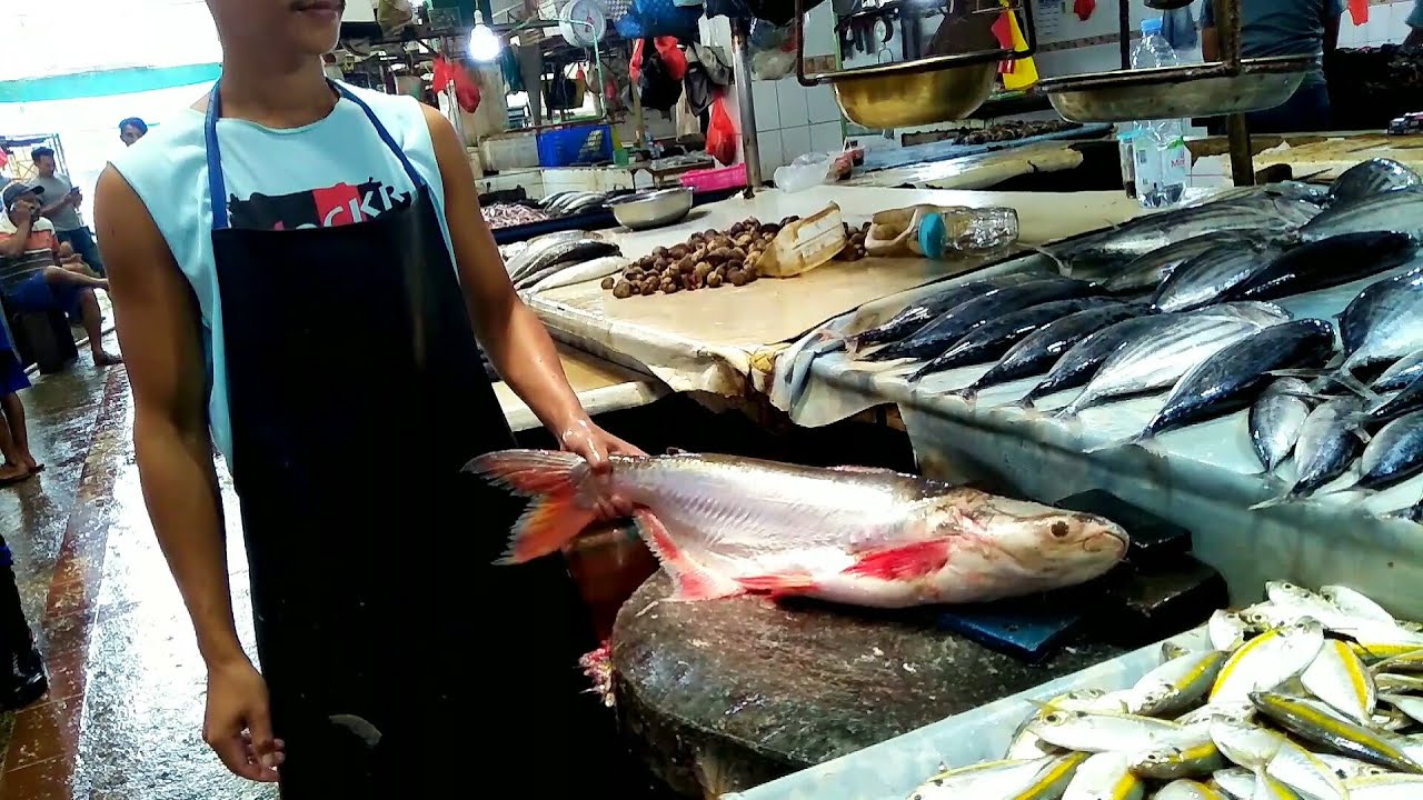 Skills Mantap Anak Muda Potong Ikan Patin Besar Langsung Di Pasar Ikan Balikpapan.