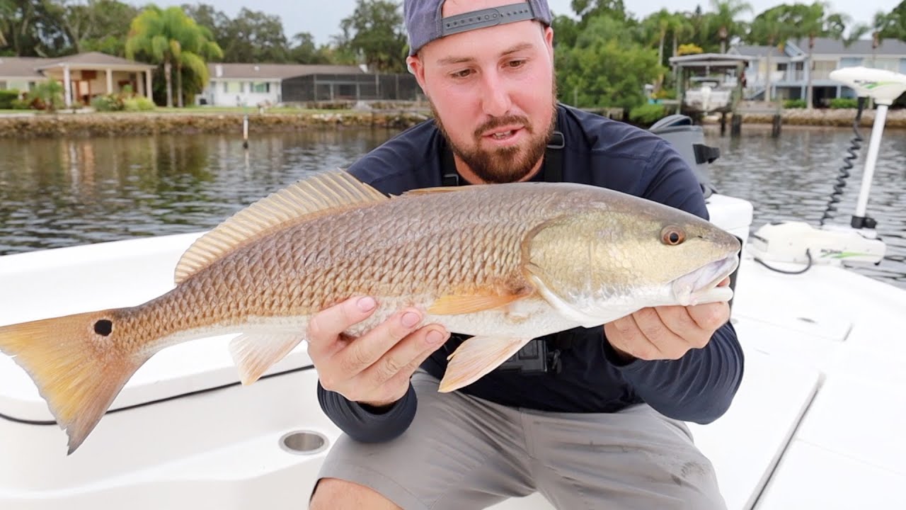 Fishing Shallow Water Oyster Bars for SNOOK and REDFISH
