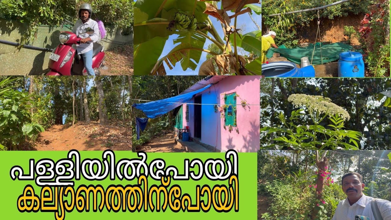 ഇടുക്കിയിലെ ഗ്രാമങ്ങൾ IDUKKIVILLEGES MYHOUSE ഞായറാഴ്ച പള്ളിയിൽപോയി കല്യാണത്തിന്പോയി