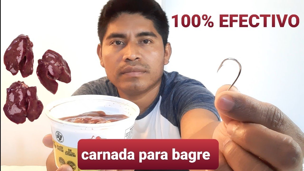 Como colocar el higado de pollo correctamente para pescar bagre, carnada para la pesca de bagre