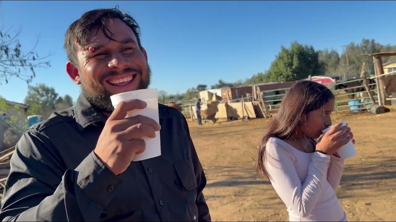 Un domingo de leche caliente en perris california 🇺🇸