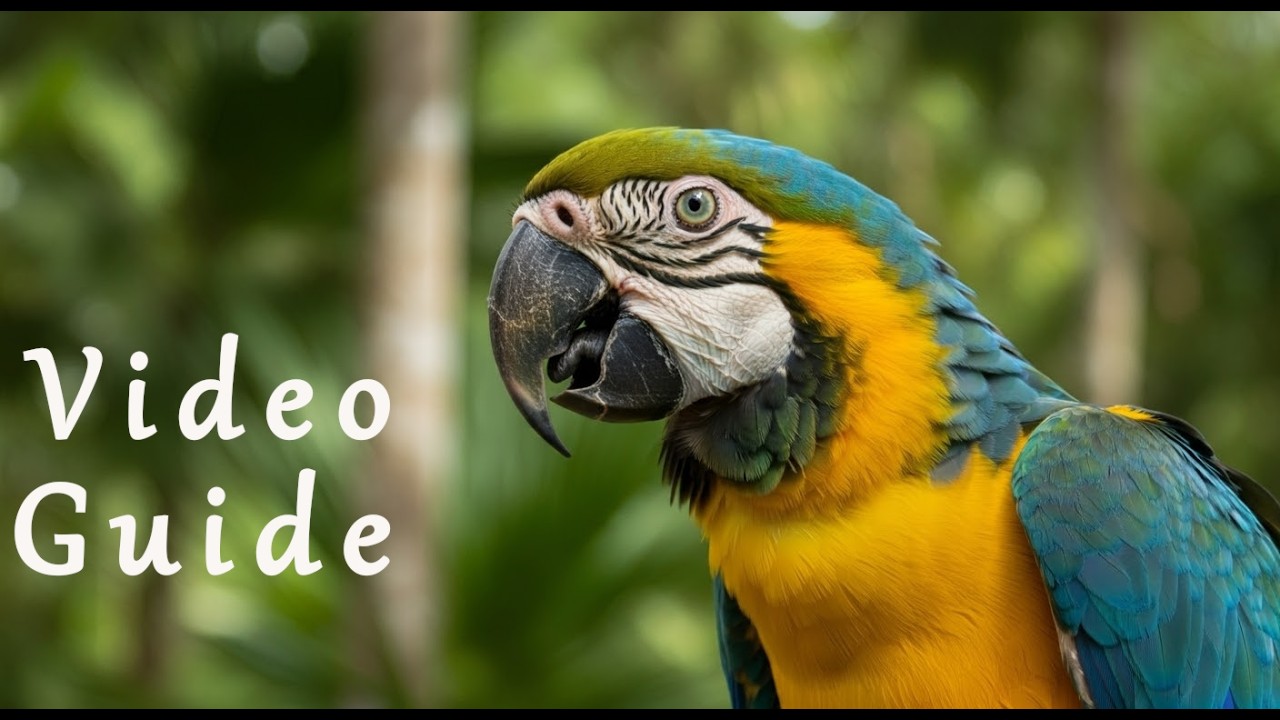 Explore Loro Park: Hidden Gems You Can't Miss