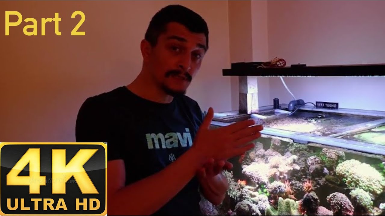 4K (Ultra HD) I visited Onur Ayna's reef aquarium part 2 (Onur Ayna Resif Akvaryumu Ziyareti Bölüm2)