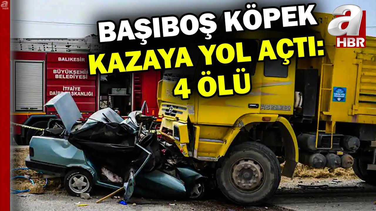Yola çıkan köpeğe çarpmamak için manevra yaptı...Katliam gibi kazada 4 kişi öldü | A Haber
