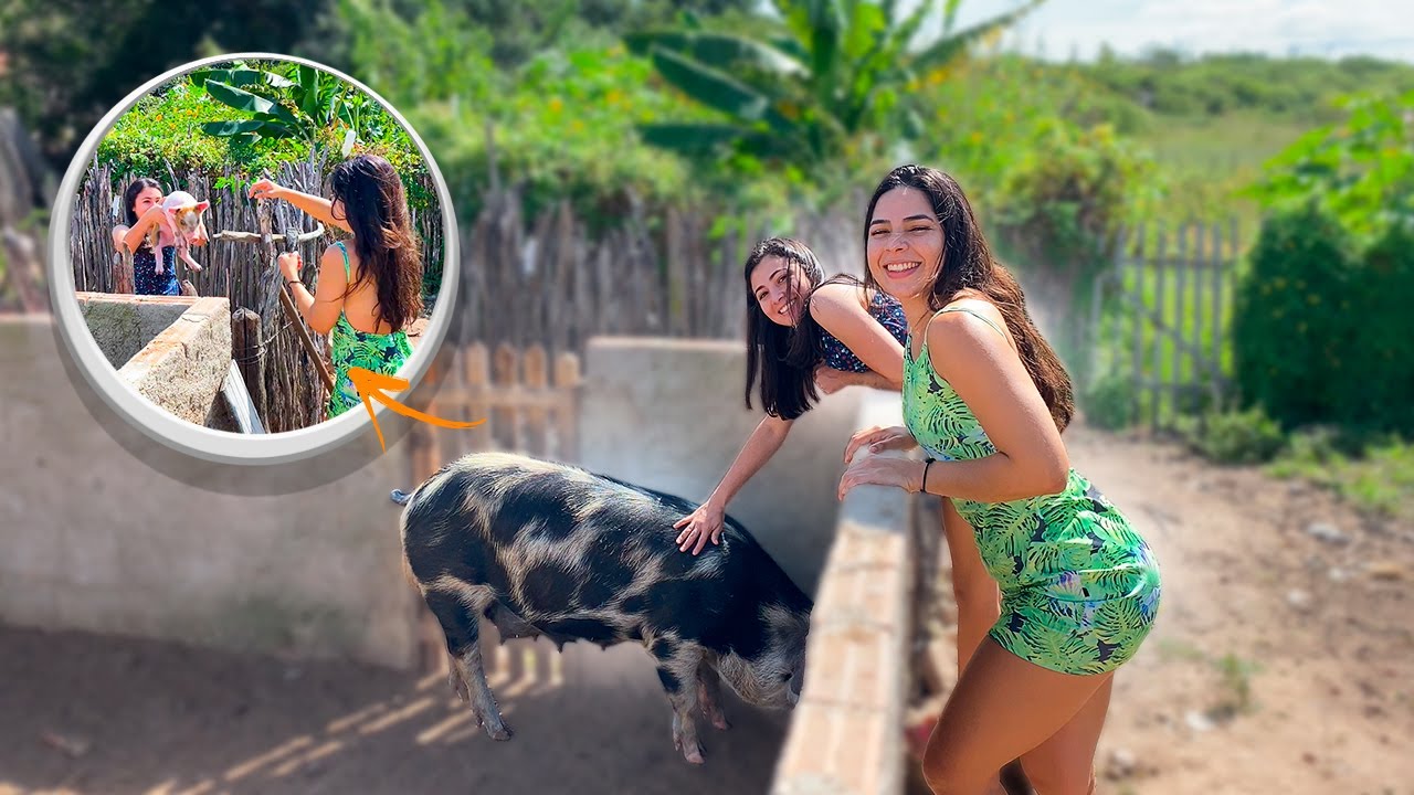 DESAFIEI JAIANE A PEGAR UM PORQUINHO | SE CONSEGUIR GANHA UM