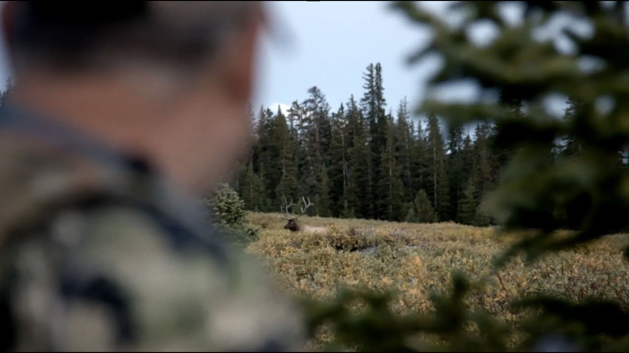 Wyoming Elk Hunt (Day 1) - The 