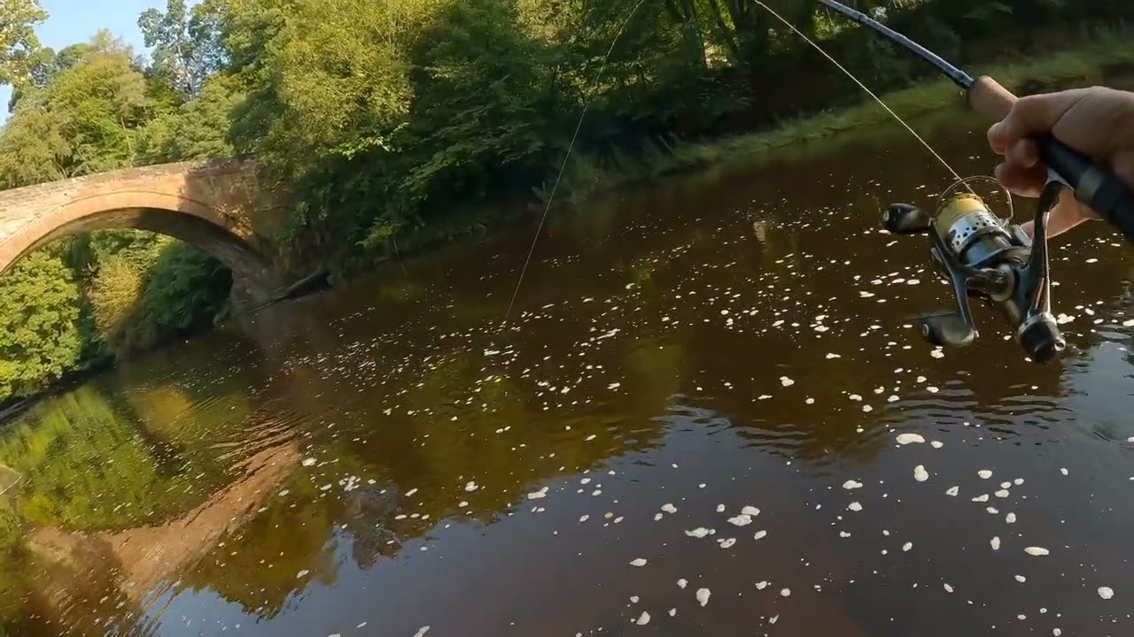 salmon prawning 7aug 24