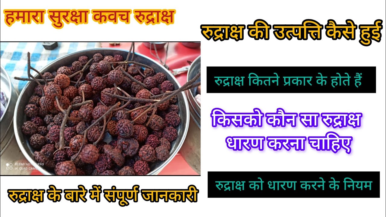 हमारा सुरक्षा कवच रुद्राक्ष उसके बारे में जाने संपूर्ण जानकारी 