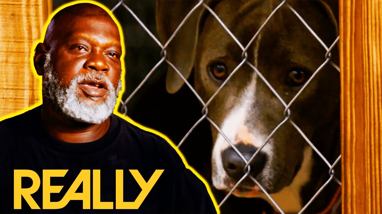 Dog Rescuers Emotional - Pitbull Was Abandoned When The Owner Moved Out! l Pit Bulls and Parolees