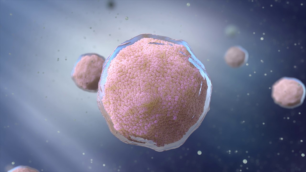 Organoids Animation