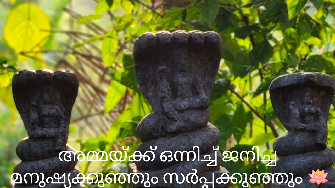 അമ്മയ്ക്ക് ഒരുമിച്ച് ജനിച്ച സർപ്പക്കുഞ്ഞും മനുഷ്യക്കുഞ്ഞും ❤️ | മണ്ണാറശാല | nagaraja kshethram 