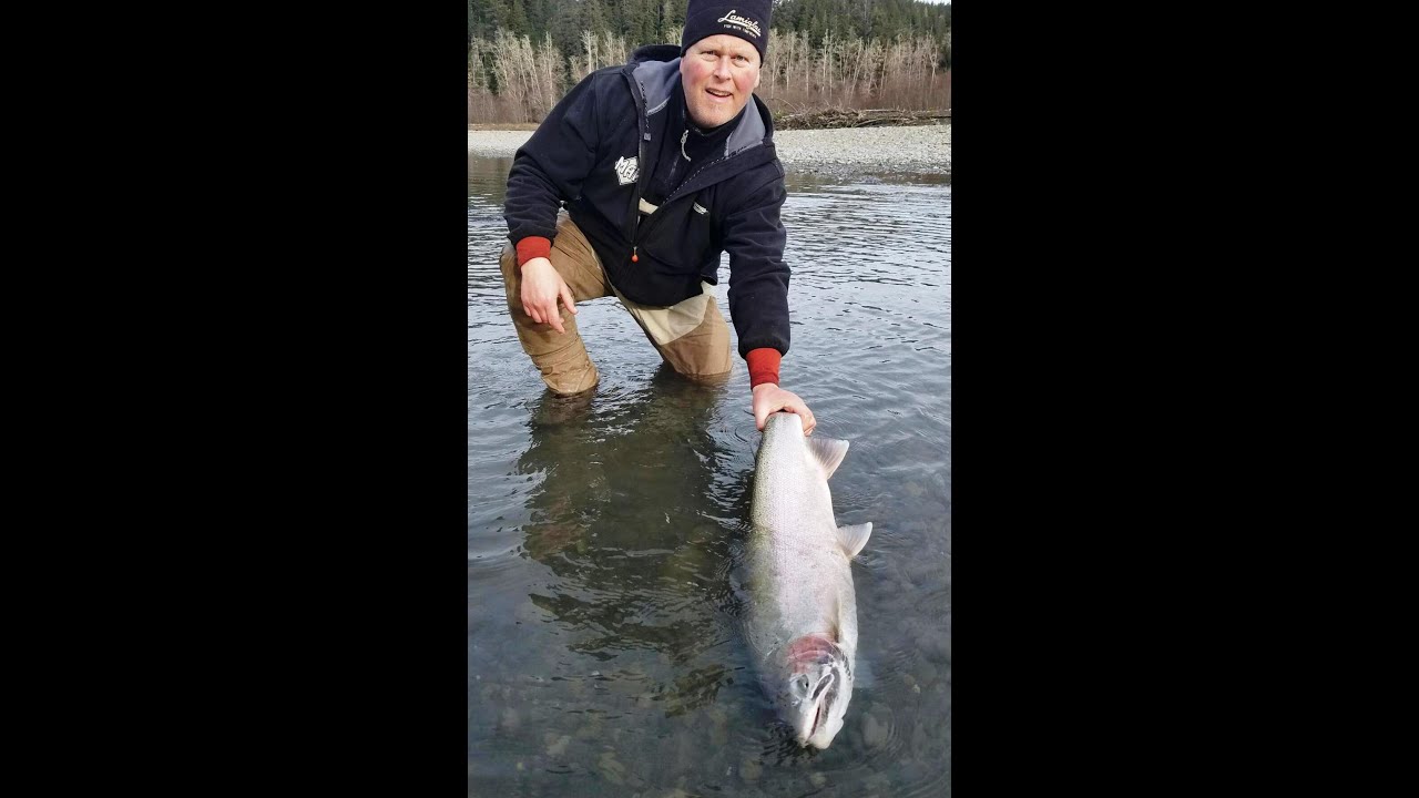 Queets River Giant Steelhead 2014(The Lost Files)