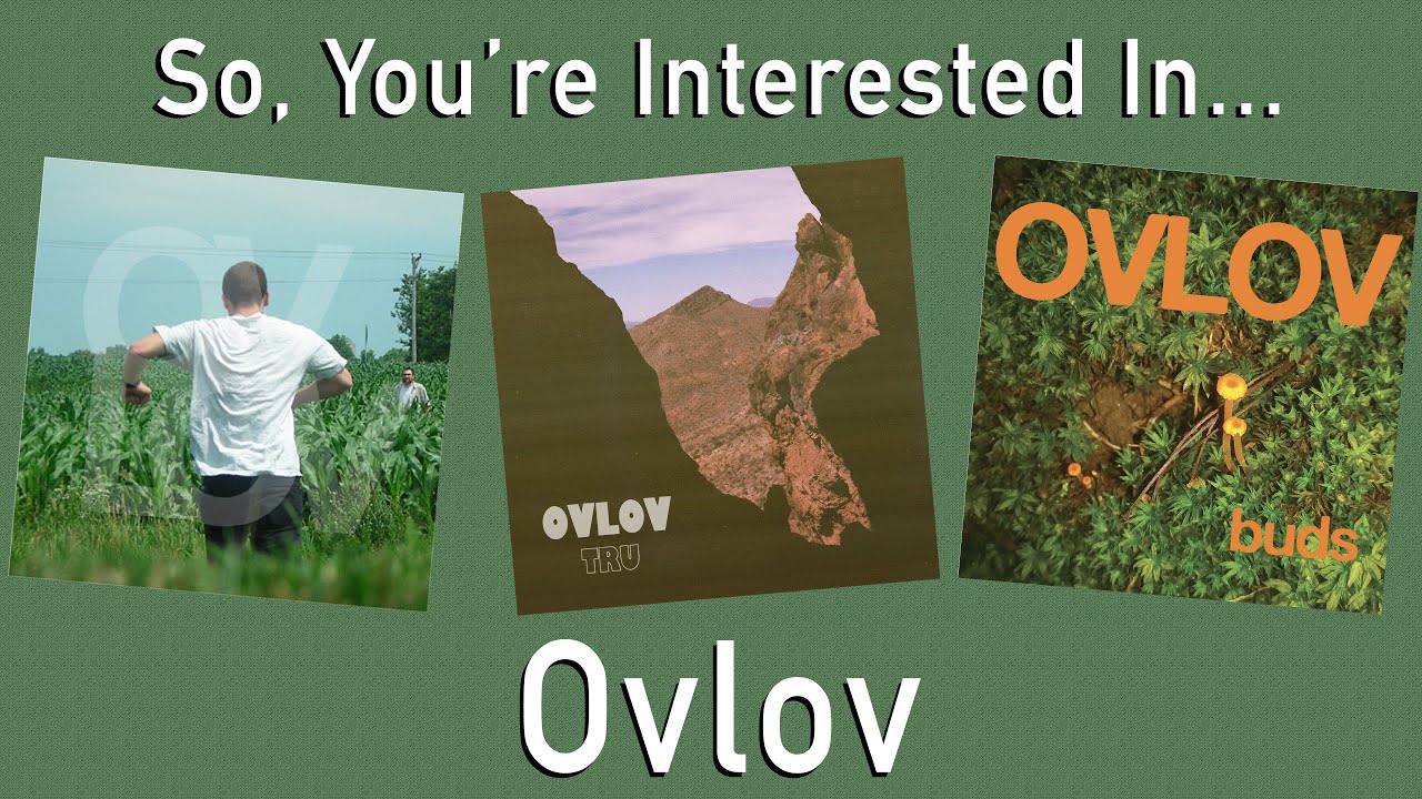 So, You're Interested In... Ovlov