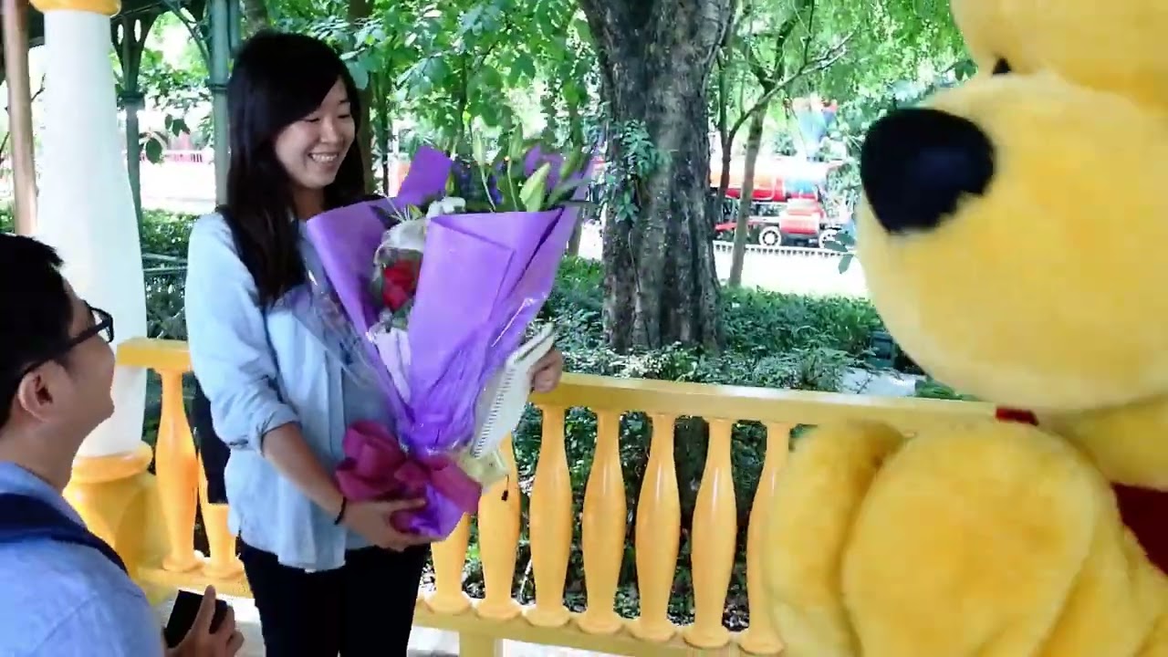 2015香港迪士尼求婚（小熊維尼見證）