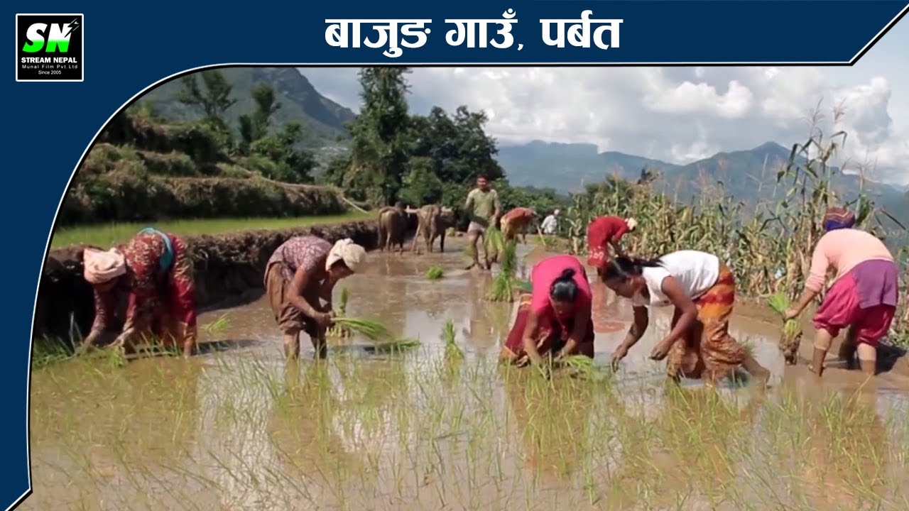 Bajung  Village Promotional Video बाजुङ गाउँ पर्बतको प्राकृतिक दृस्याहरु