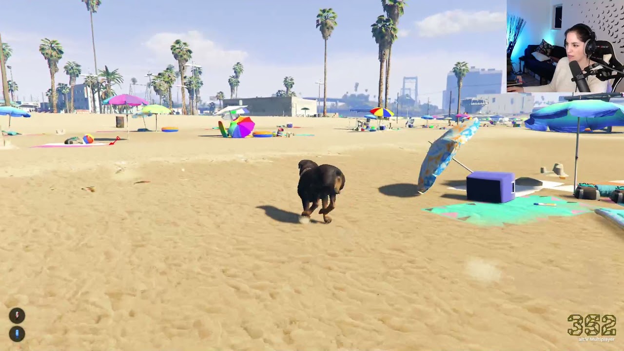 LuckyV | Die Tiere sind los - Perro, der Hund. Part 1