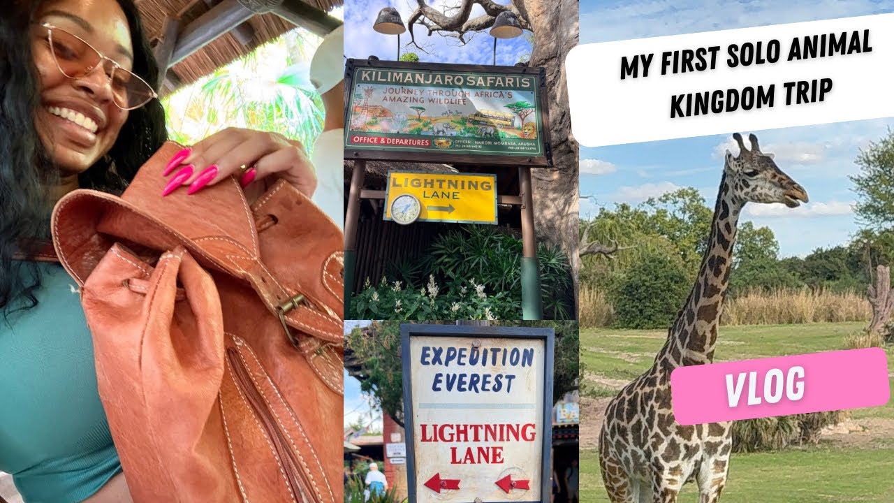 Come with me to Animal Kingdom w/ me | Everest, Safari, Lion King | Wrap my Solo Christmas gifts 🎄
