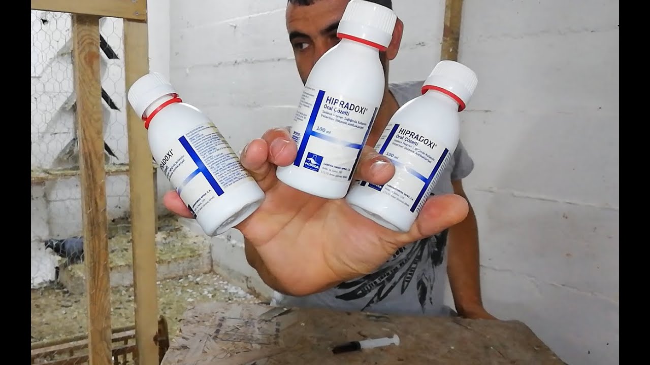 Hiprodoxi. Kümesinizde Mutlaka Olması Gereken İlaçlar. Güvercinlerde Nefes Yolu Hastalıkları ve İlaç