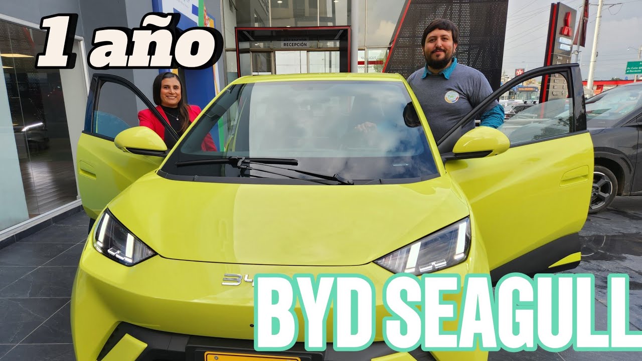 Primer año con mi BYD SEAGULL/DOLPHIN MINI