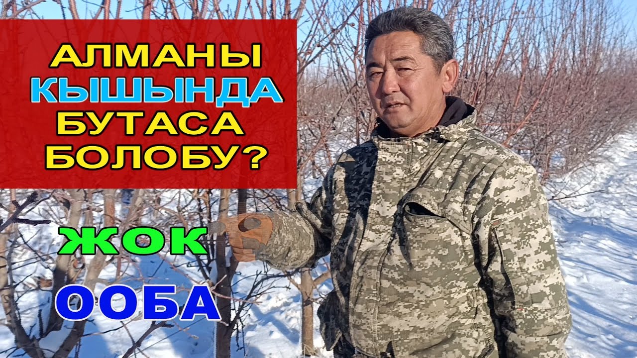 АЛМАНЫ КЫШЫНДА БУТОО ЭРЕЖЕЛЕРИН БИЛИП АЛЫҢЫЗ ☝️☝️☝️