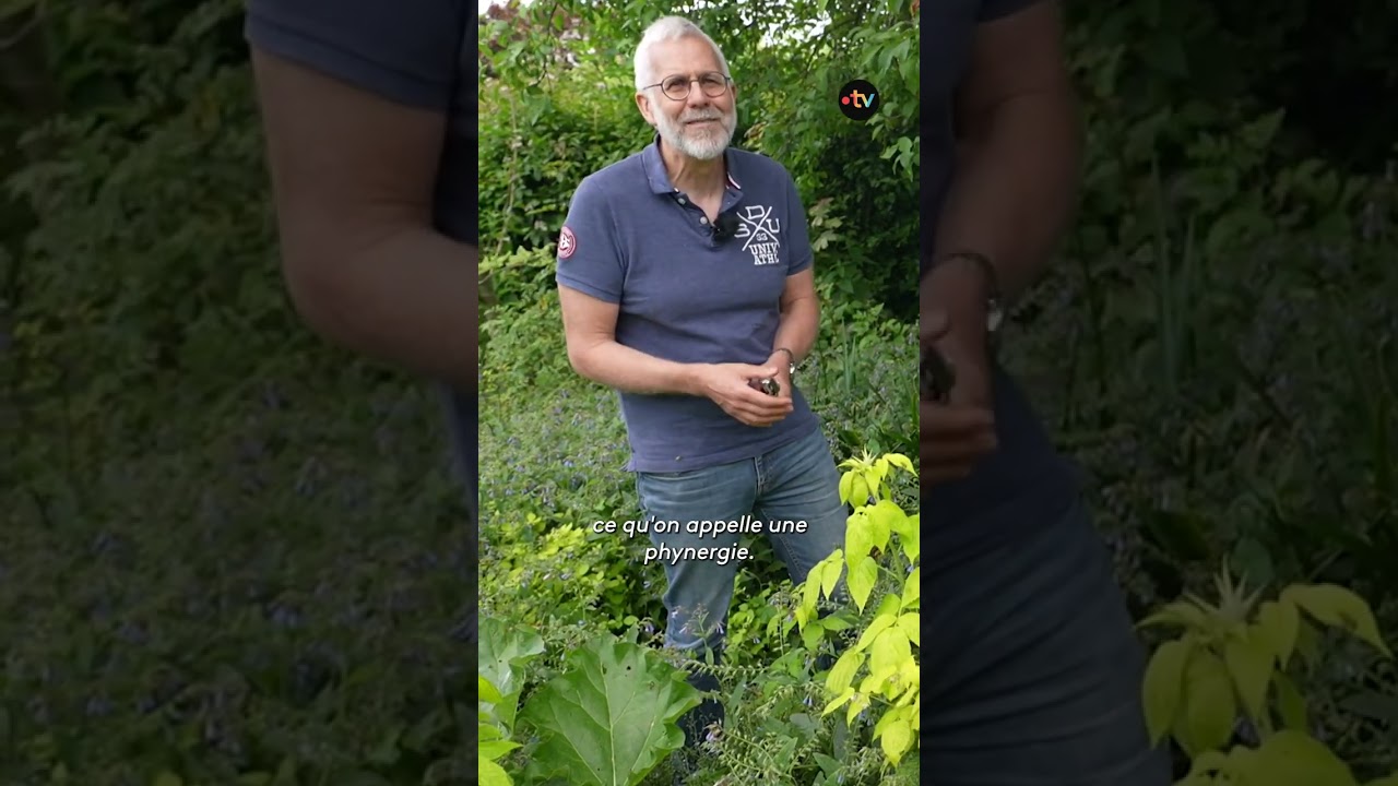 Un jardin r&eacute;silient et autonome dans le bassin minier, connu mondialement