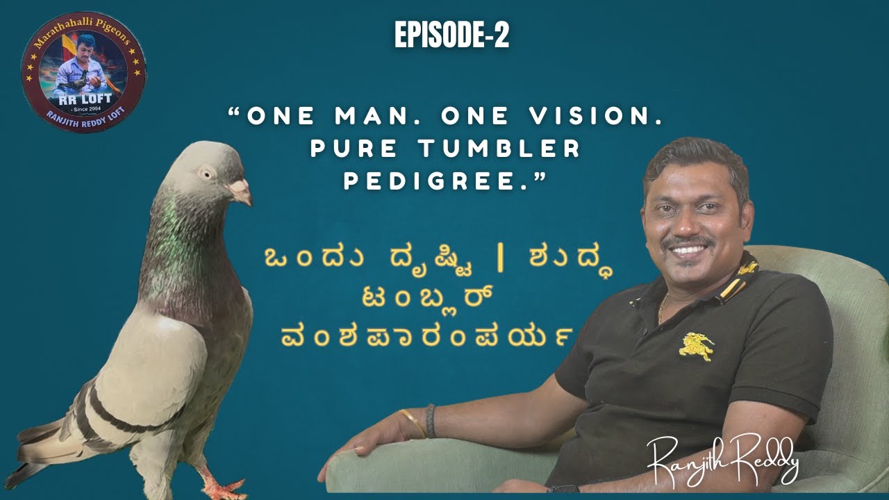 Bangalore #1 top quality pigeon/“One Man. One Vision. Pure Tumbler Pedigree.”