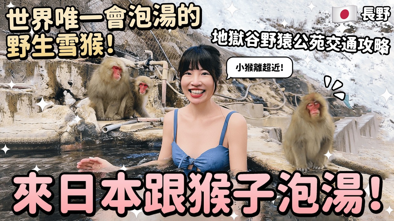 來日本跟猴子泡湯！世界唯一會泡湯的野生雪猴♨️長野必去地獄谷野猿公苑怎麼去？交通攻略、後樂館露天雪地溫泉秘境、長野自由行推薦｜Irene麻糬公主