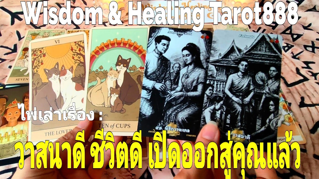 ไพ่เล่าเรื่อง:วาสนาดี ชีวิตดี เปิดออกสู่คุณแล้ว#random #tarot #ดวงความรัก #ไพ่ทาโรต์ #ไพ่ยิปซี #ดวง 