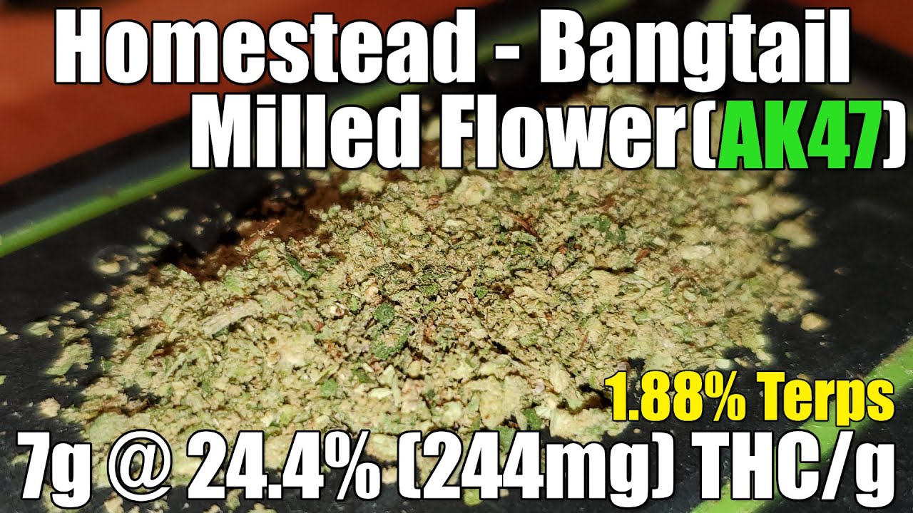 Homestead - Bandwagon Milled (AK47) - Review - 7g @ 24.4% (244mg) THC (+Extreme Closeups)