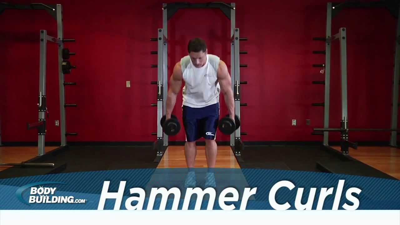 Hammer Curl - Biceps Exercise - Bodybuilding.com