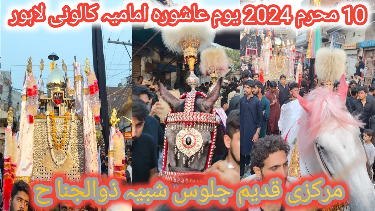 10 Muharram 2024 Markzi julos Shabe zuljana Imamia colony Lahore