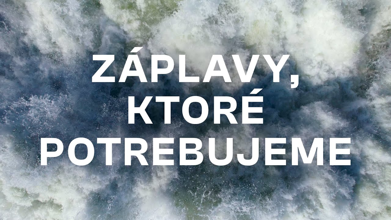 Záplavy, ktoré potrebujeme - vnútrozemská delta Dunaja
