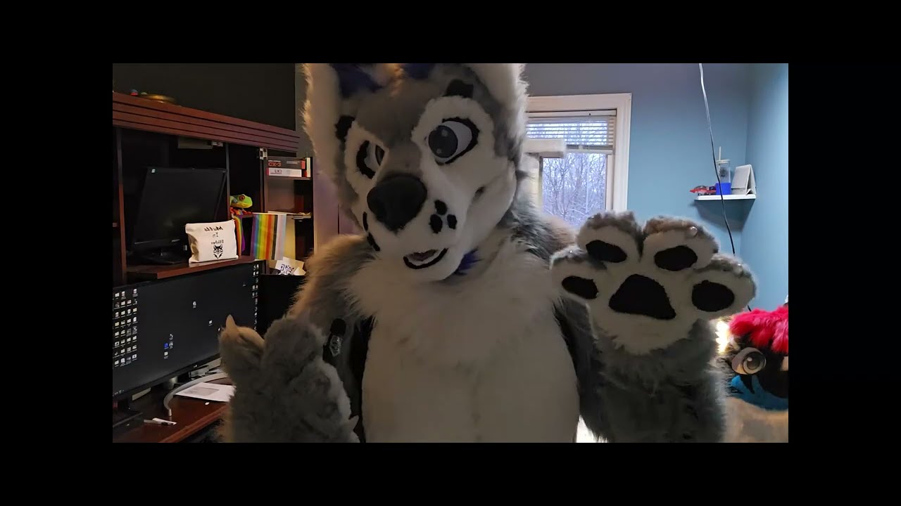 Fursuit Cleaning and Washing