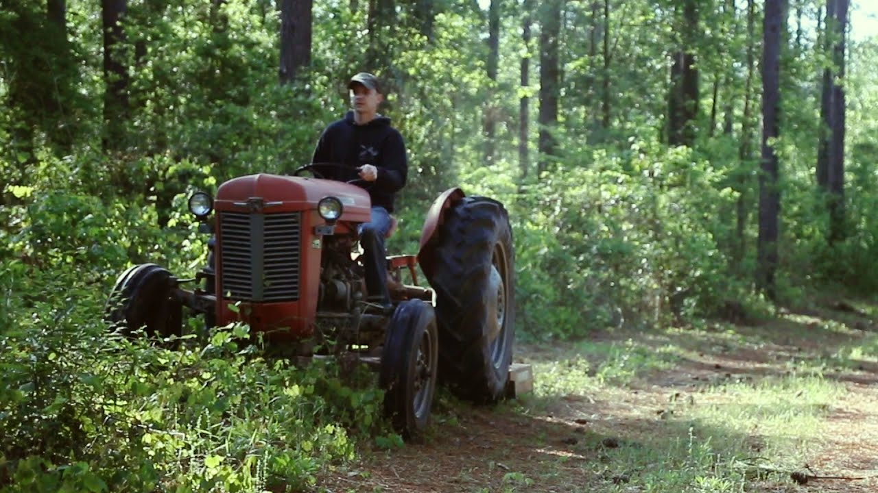 Massey Ferguson 35 Bush hogging