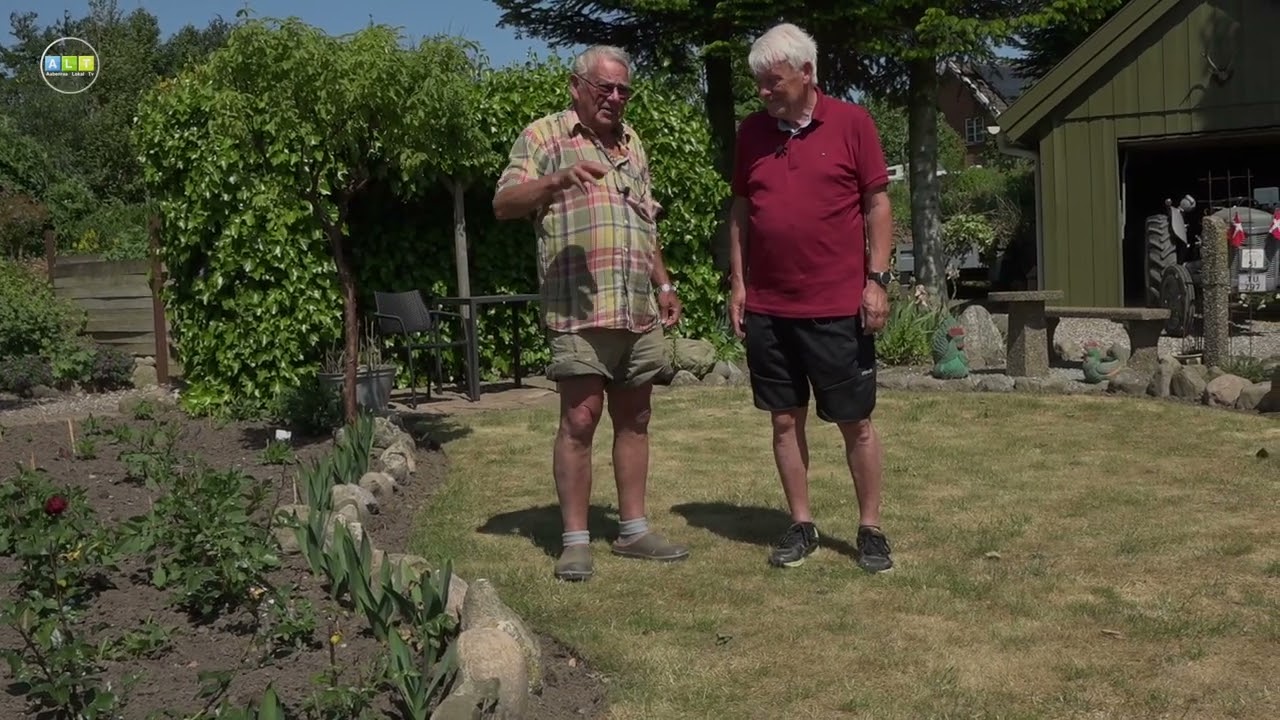 Pæoner og kartoffelhøst