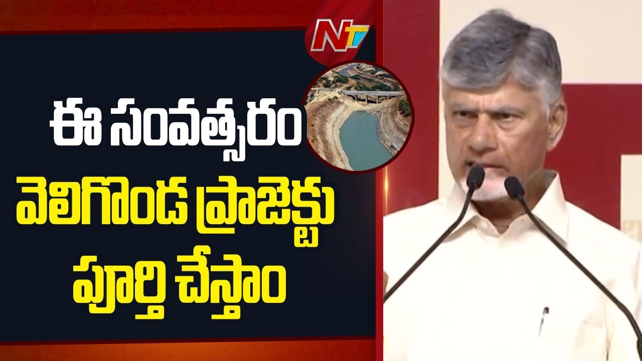 We will complete the Veligonda Project this Year Says CM Chandrababu | NTV Telugu