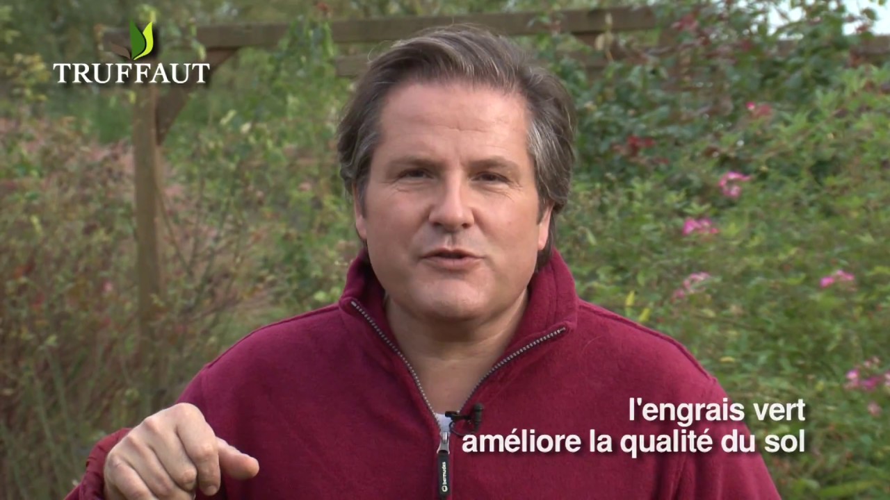 Semer un engrais vert au potager pour améliorer son sol - Truffaut