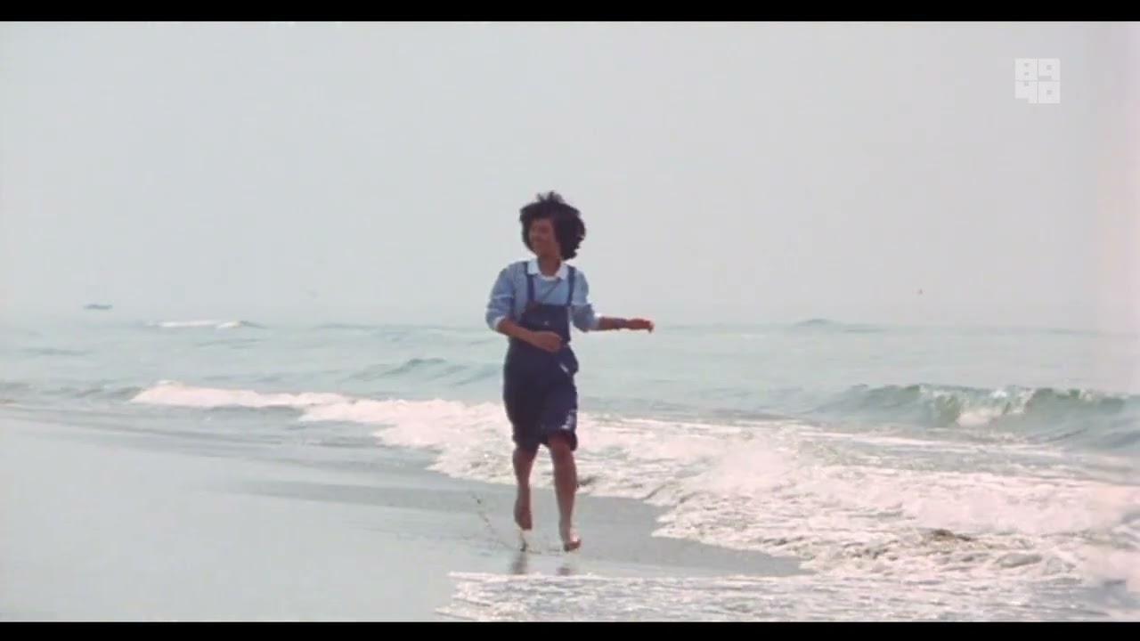 野性の証明　エンディング　薬師丸ひろ子