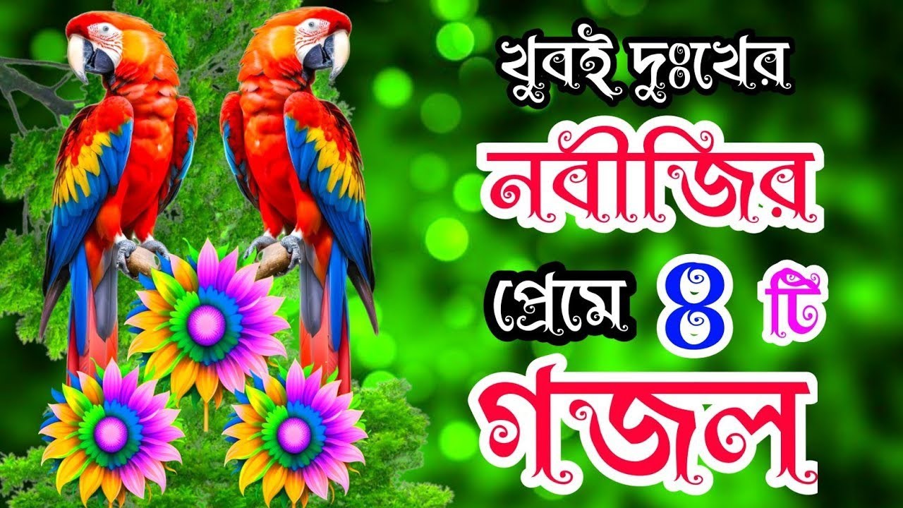 সেরা ৭টি গজল বাছাই করা মদিনার গজল নবীজির প্রেমের গজল। Bangla Gojol New Gazal