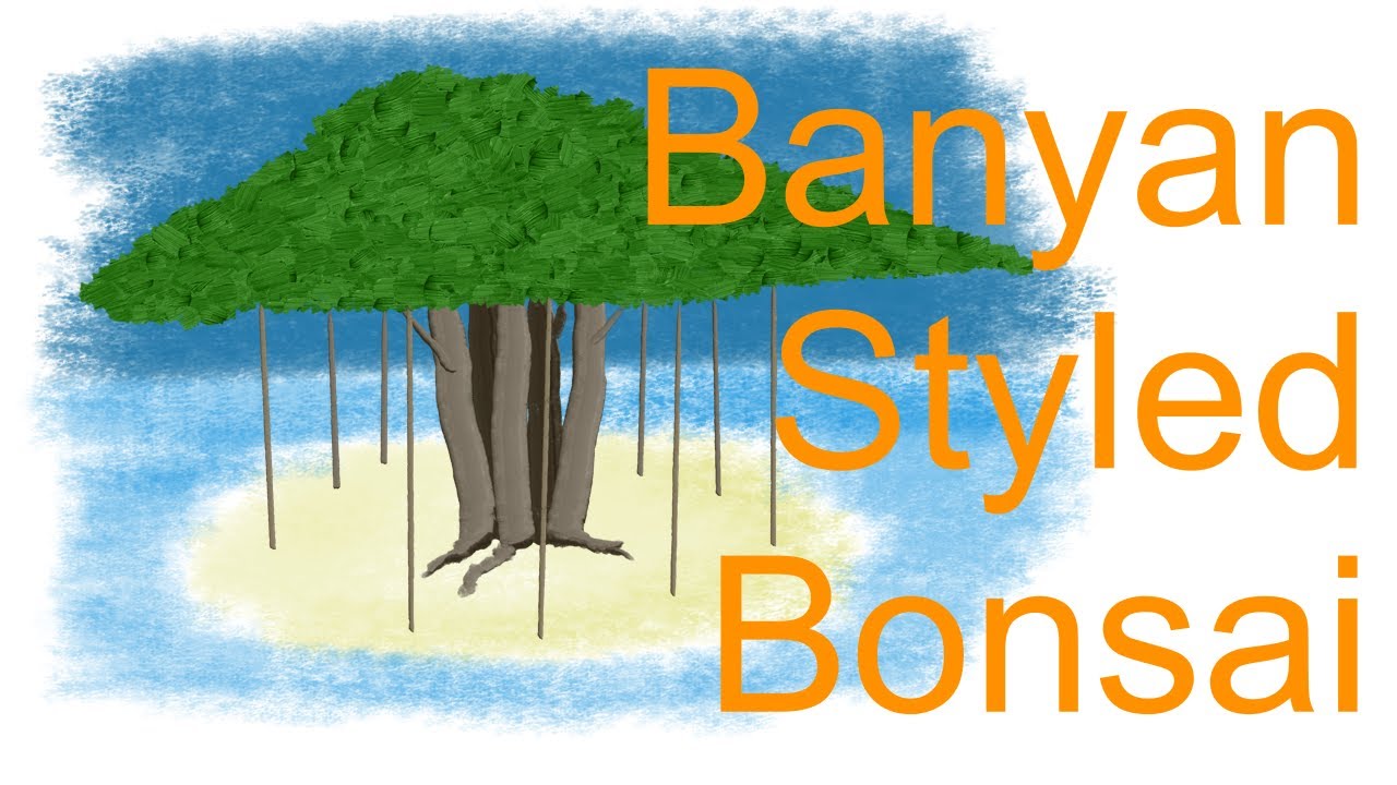 Banyan Styled Bonsai from Ficus Benjamina Clump Planting